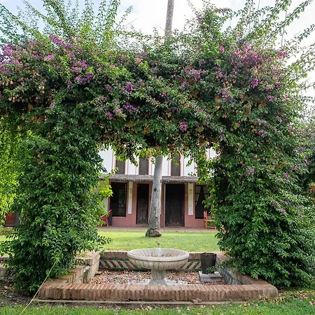 El Cortijo De Mimbrales 4* Almonte